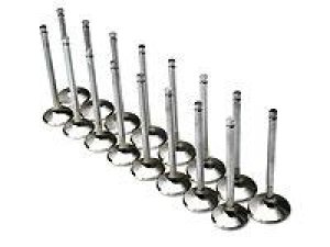 Honda S2000 Intake Valve Sets - Brian Crower - 36mm - `00-`09